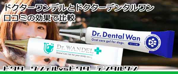 ドクターワンデルとドクターデンタルワン比較！口コミの違い